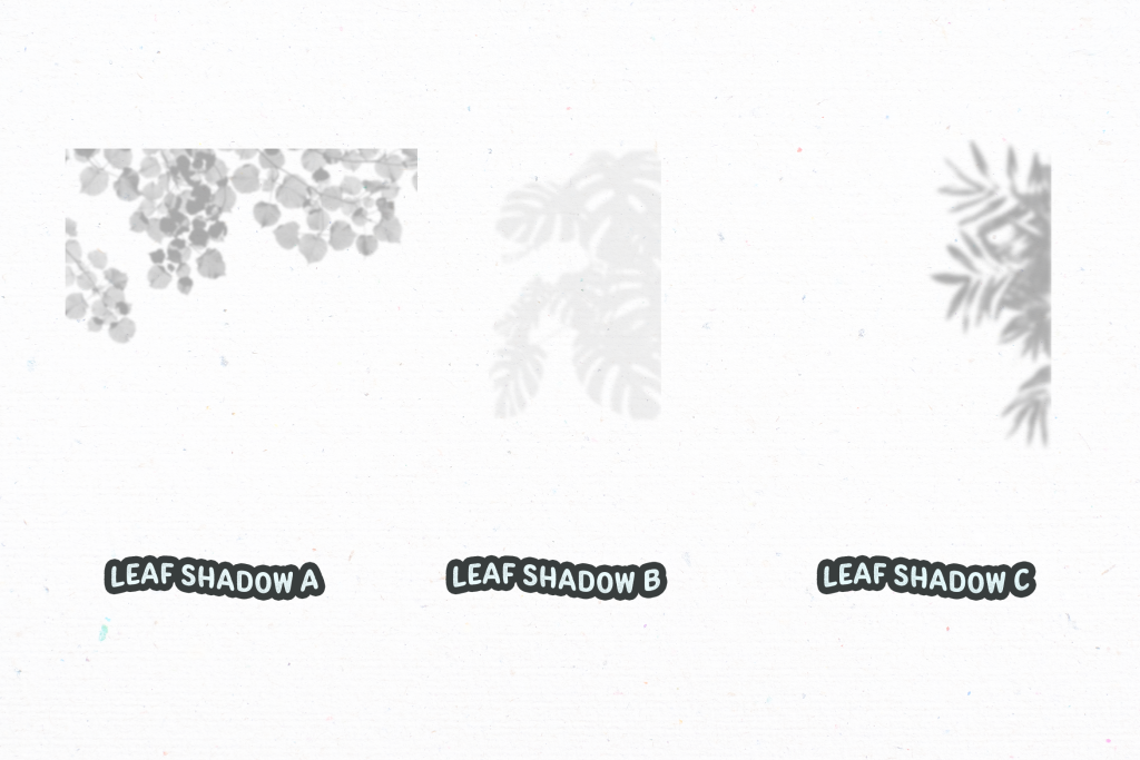 Leaf Shadow Elements Set Design Templates Peterdraw Studio