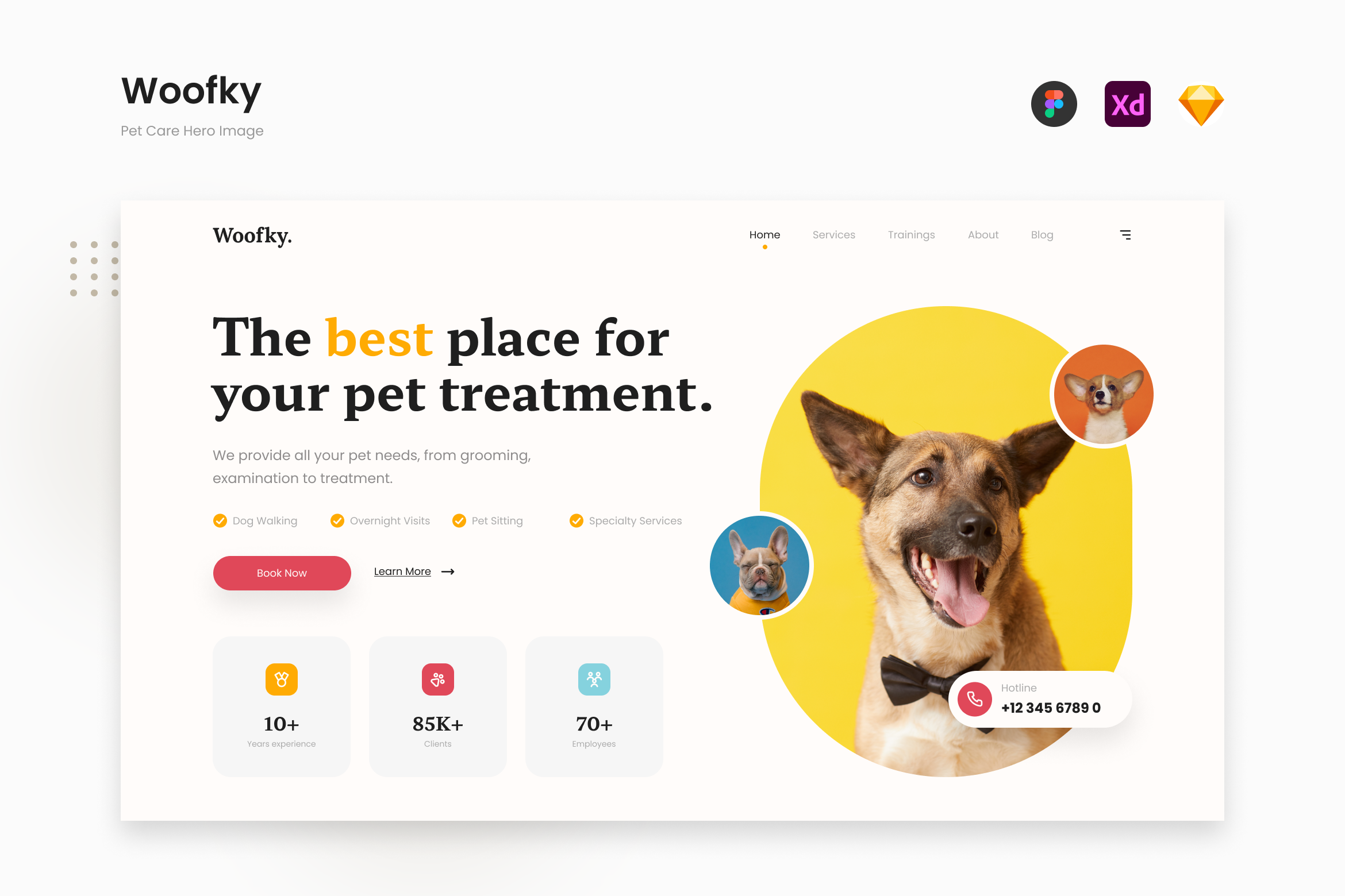 Woofky - Bright and Energetic Pet Care Website Hero Design Templates -  Peterdraw Studio