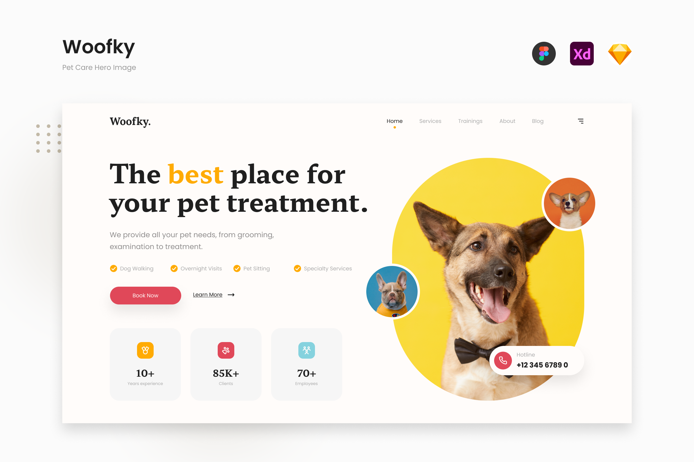 Woofky Bright And Energetic Pet Care Website Hero Design Templates 